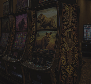 Slots Safari